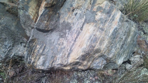 Гигантские зелёные валуны для ландшафтного дизайна весом более 5 тонн купить в Кусе